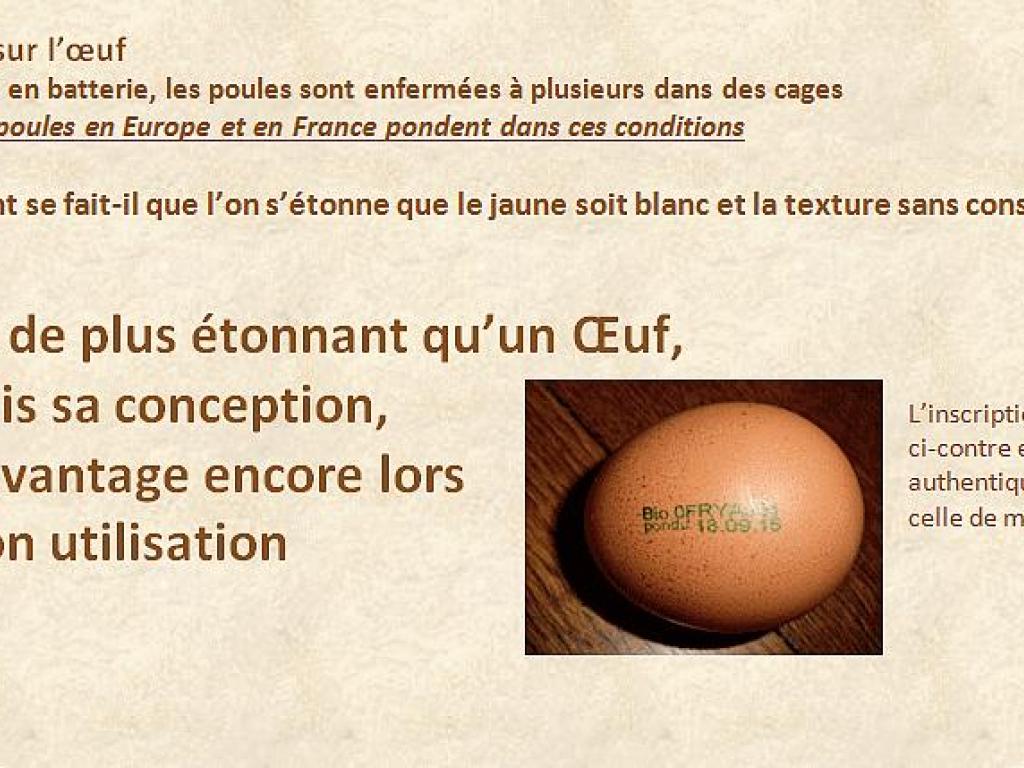 Coco Corrèze