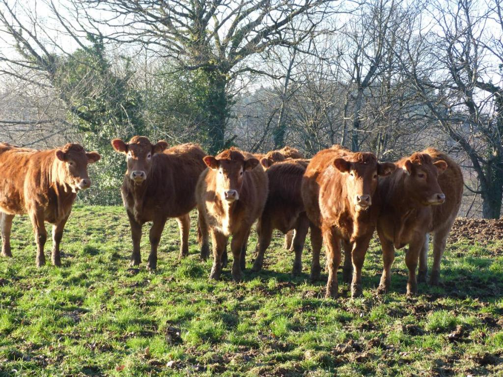 Ferme de Luc