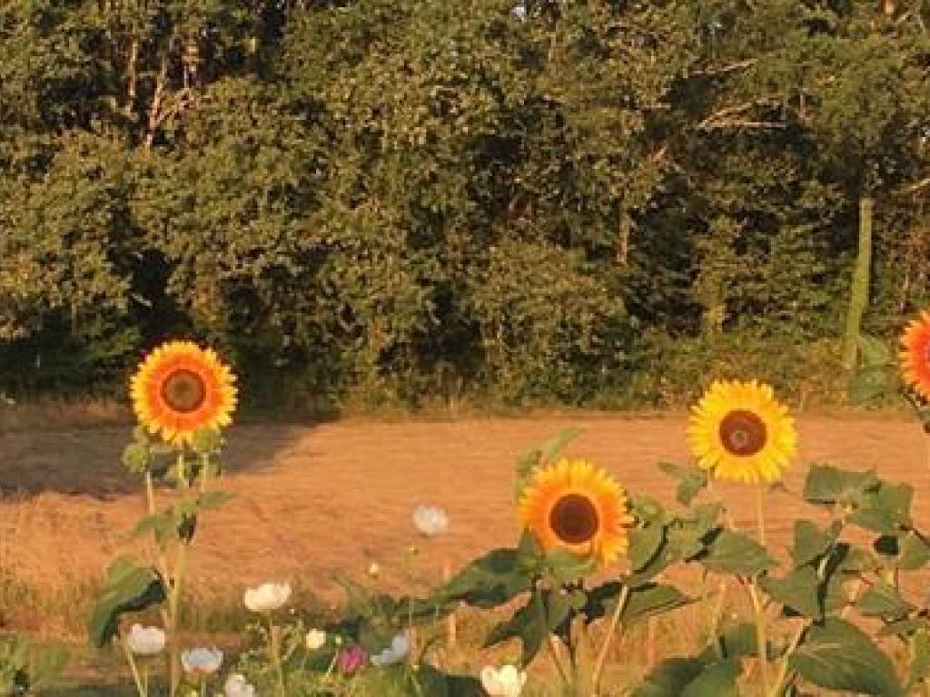 LES JARDINS DE MAMMA POUSSE