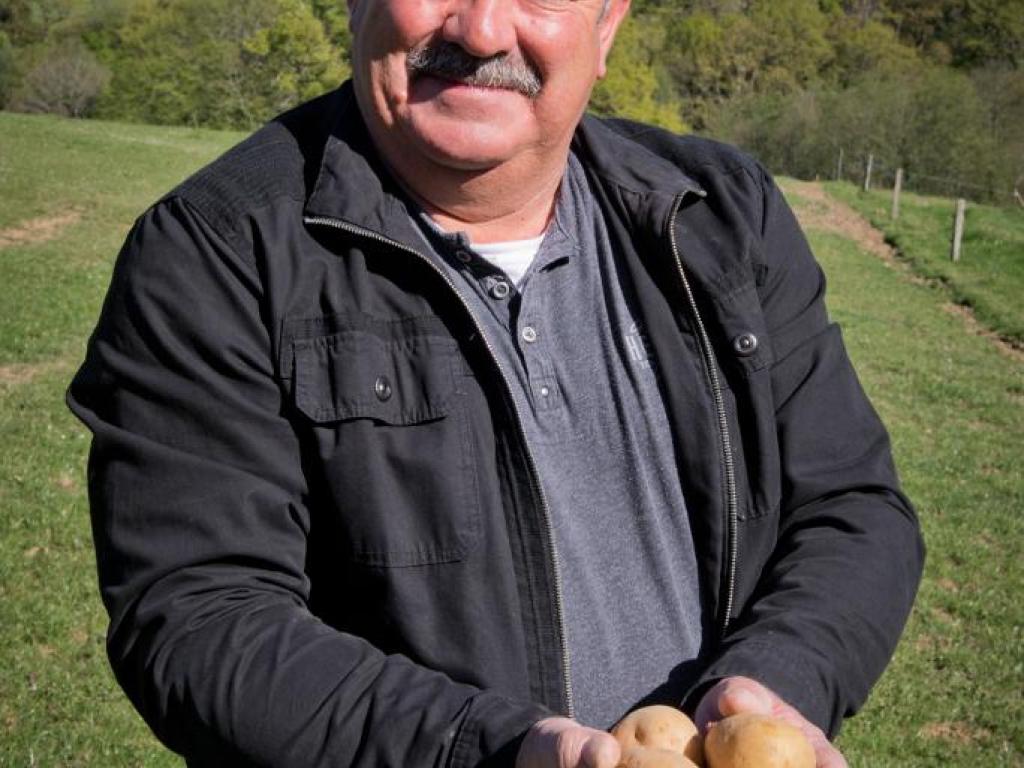 EARL Bellevue
