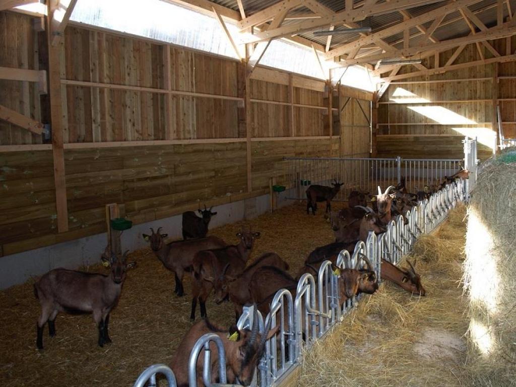 Ferme de la chèvre Bleue