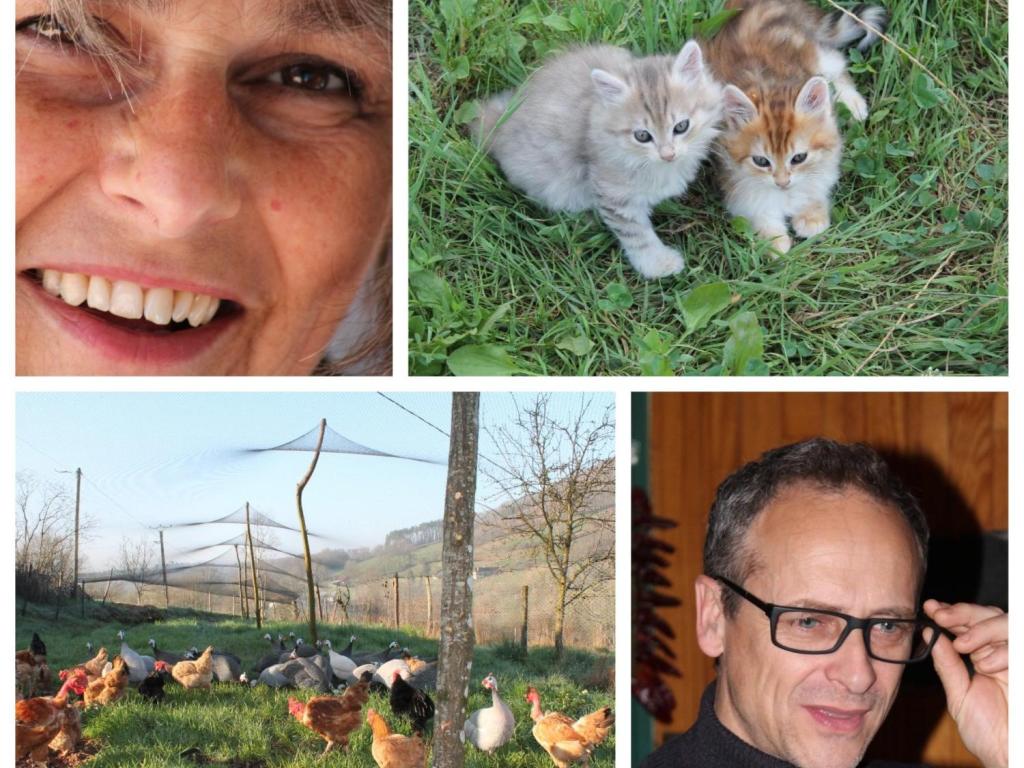La Ferme d'à côté