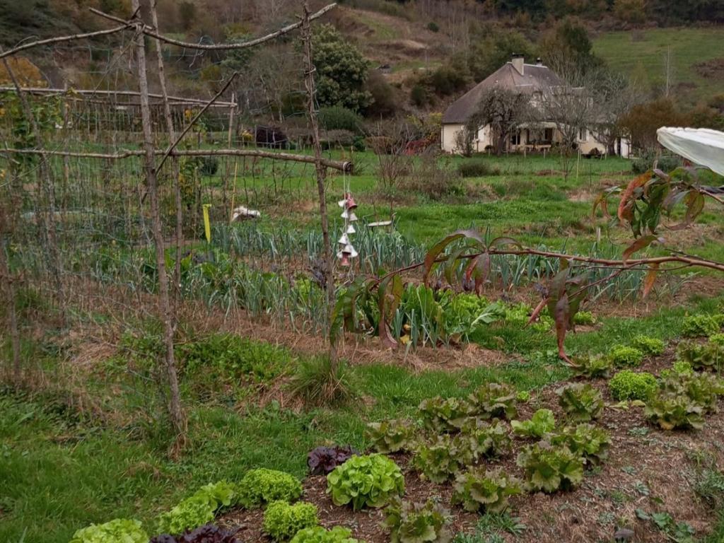 Les lucioles du chambariol