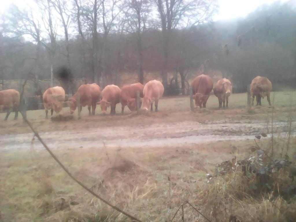Ferme des 4 pattes