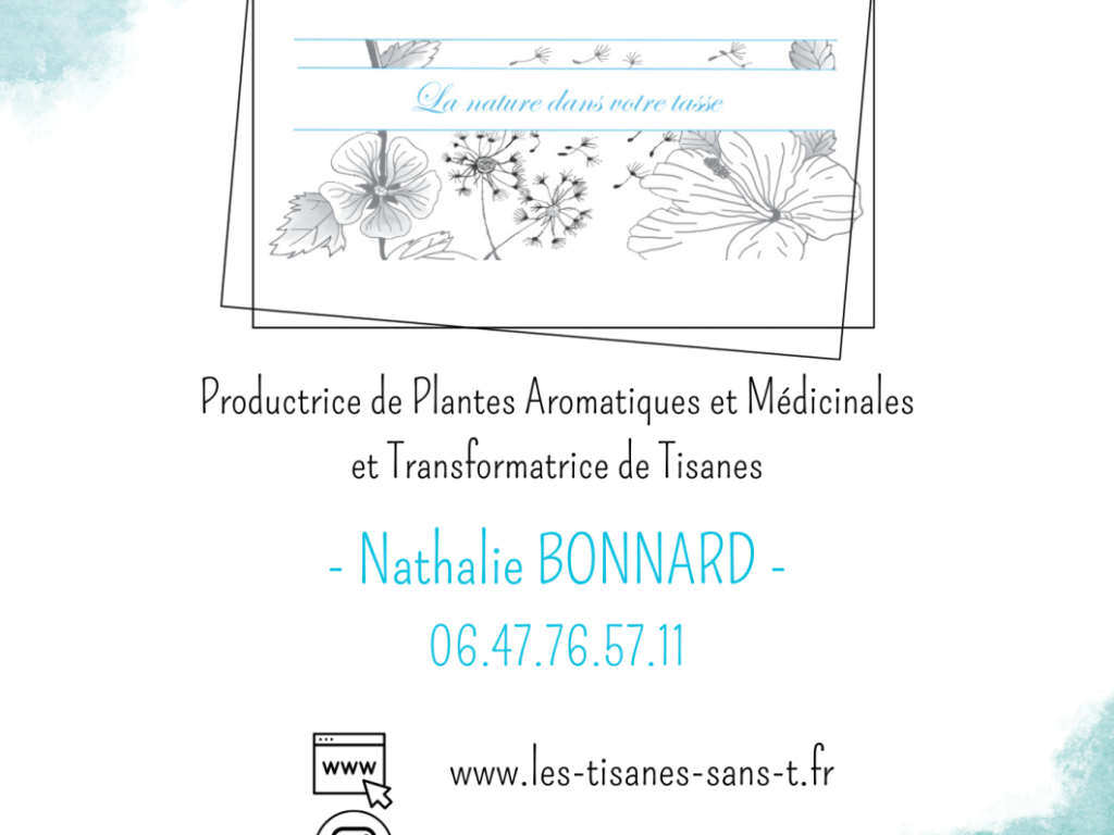 Les tisanes sans T