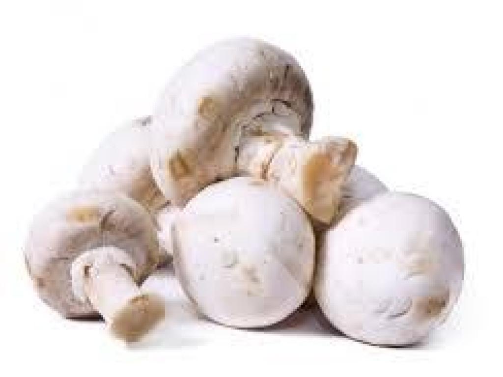 Les champignons de Ladignac