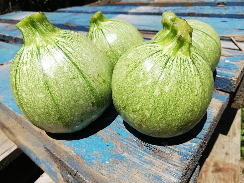 Le Jardin du Passadou