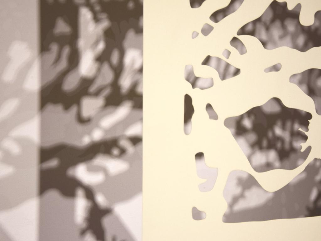 Exposition temporaire « À la lumière »