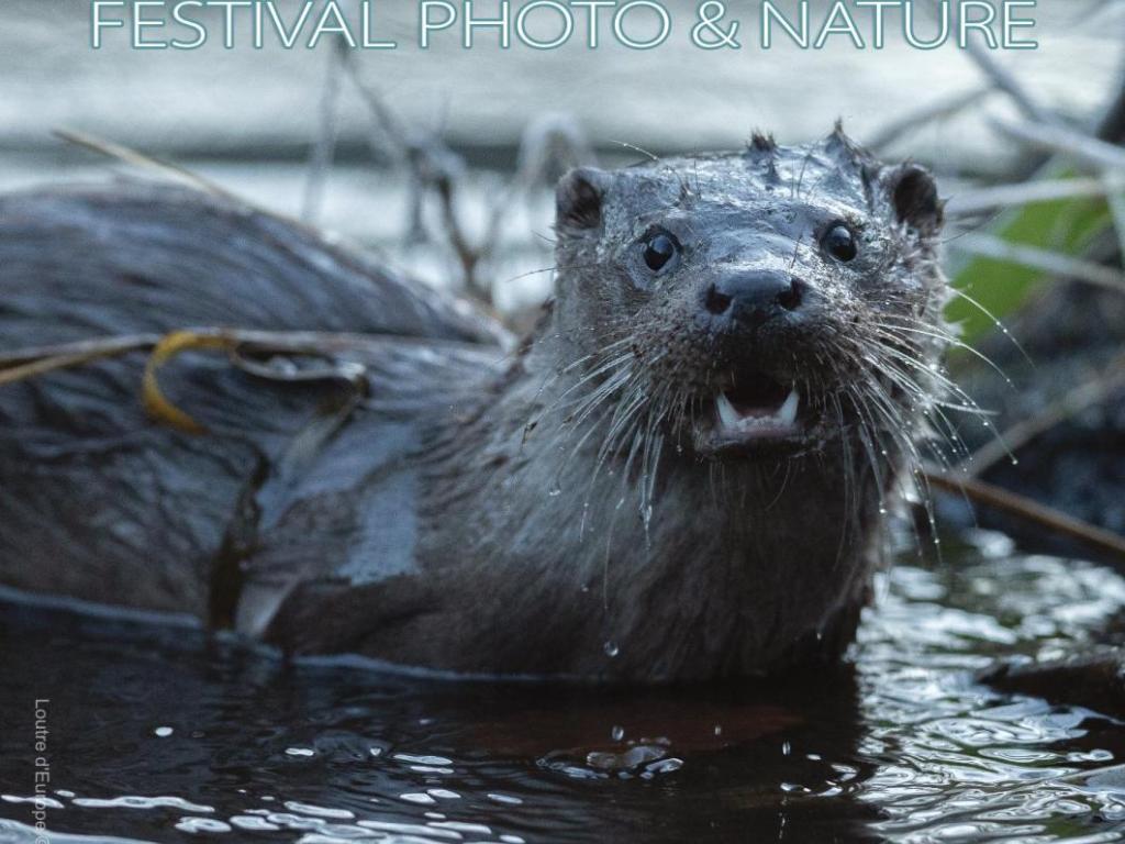 15ème édition Festival photographique "Signé Nature"
