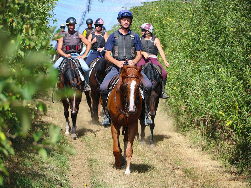 Dans la peau d'un jockey
