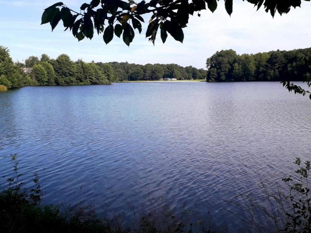 Journée activités sportives Ufo’Nature