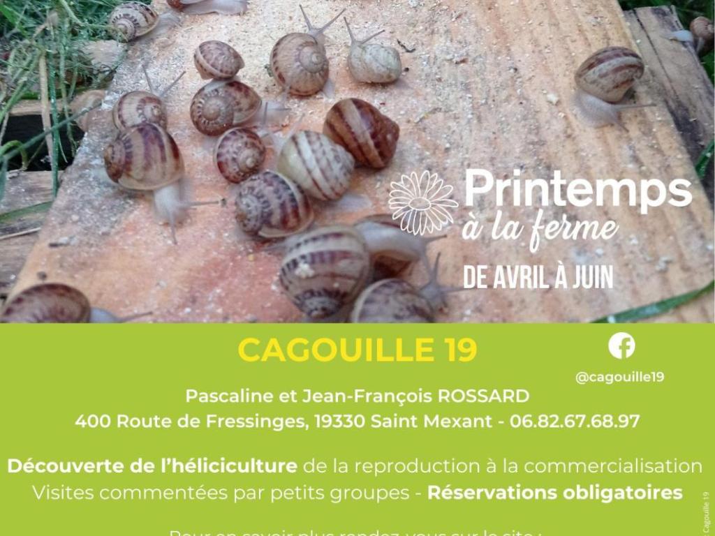 Cagouille19 - Printemps à la Ferme - BAF