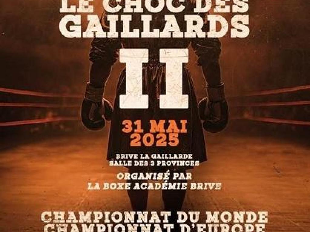 Gala de boxe (Espace des trois provinces)