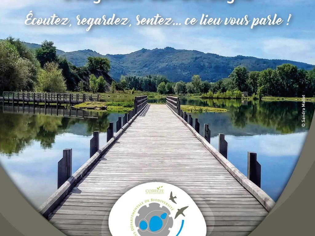 Les petites bêtes de l'eau