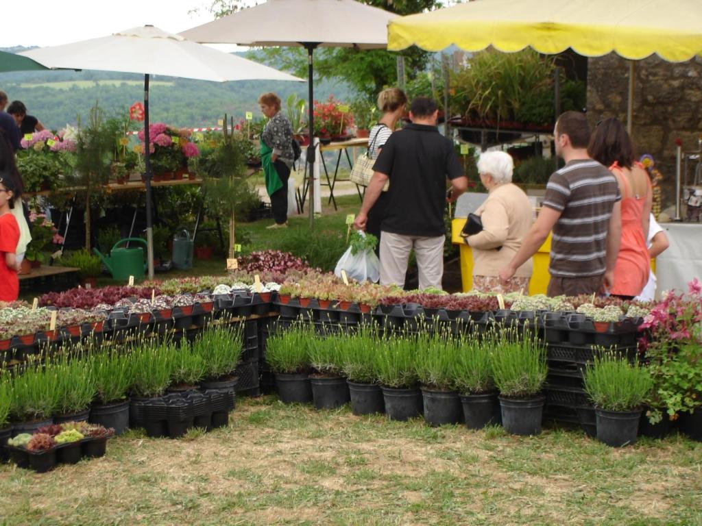Marché des plantes et fleurs