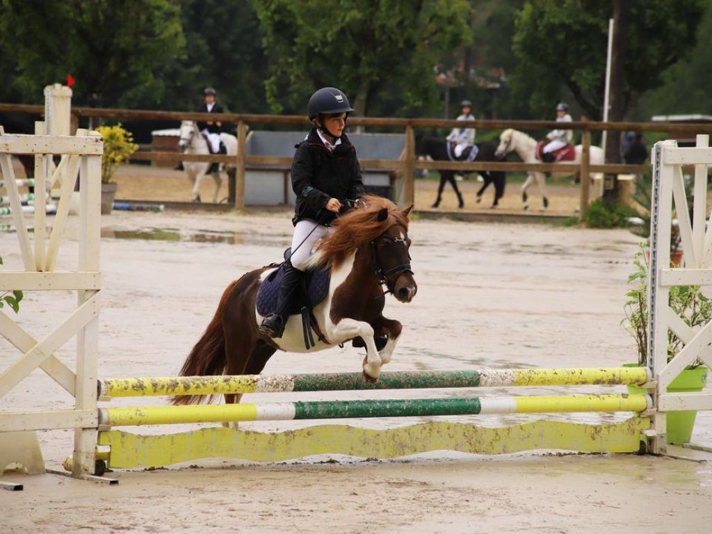 Concours de Saut d'Obstacles Poneys Tournée des As