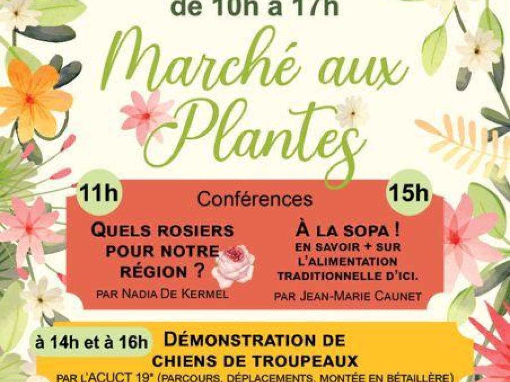 Marché aux Plantes