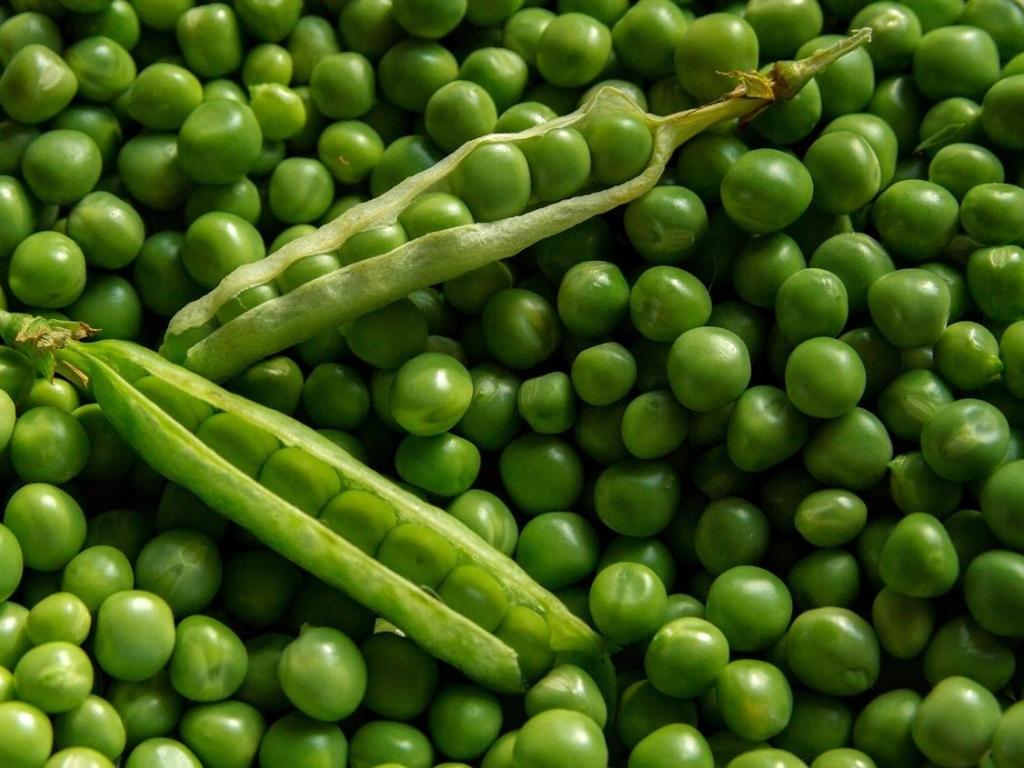 Fête des petits pois