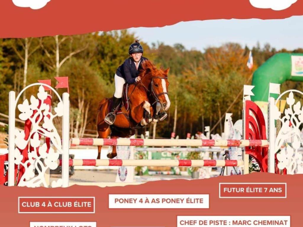 Concours de Saut d'Obstacles Poneys Tournée des As