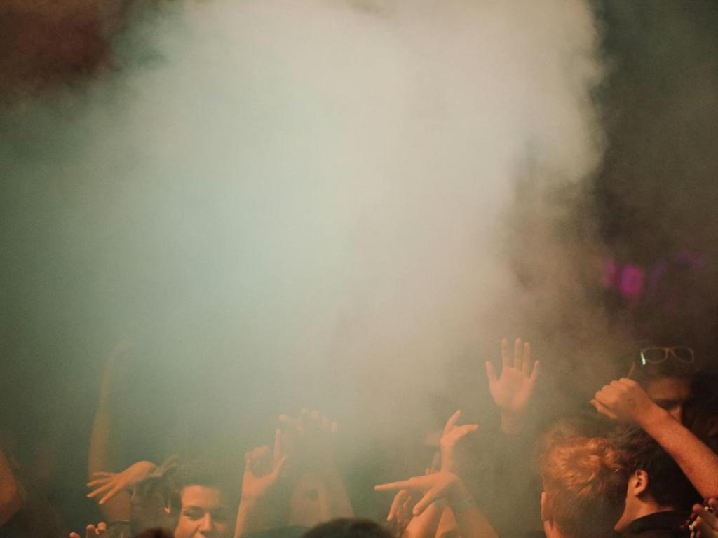 Festival Bodega