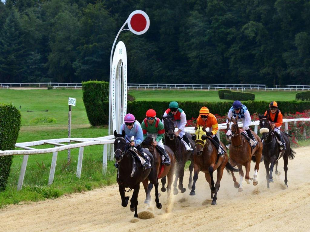 Courses hippiques