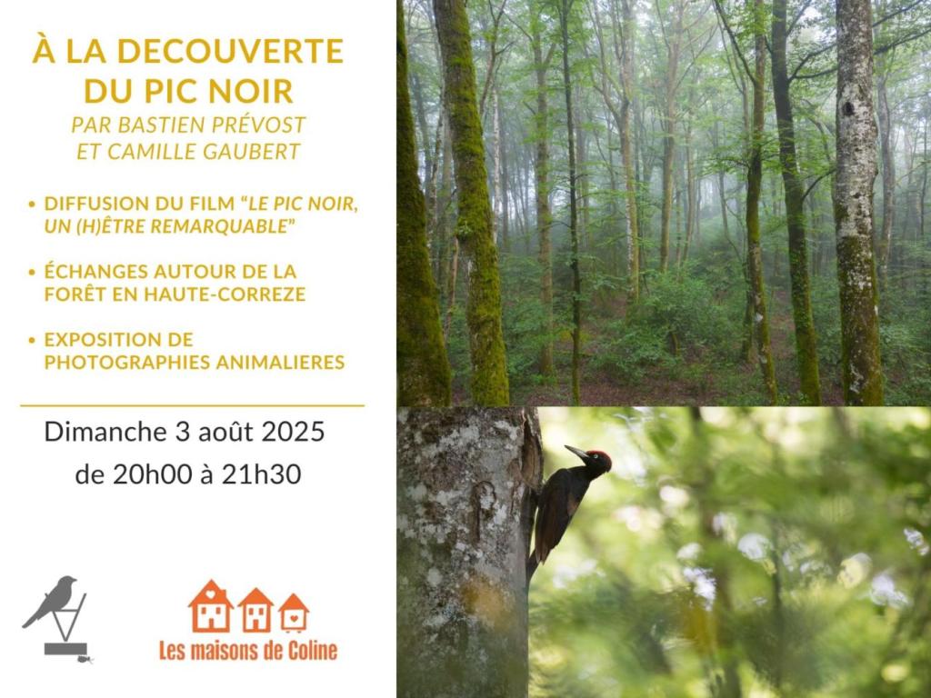 Soirée exceptionnelle ; projection en avant première du documentaire de Bastien Prévost sur le Pic Noir