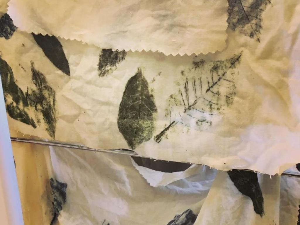 La teinture végétale