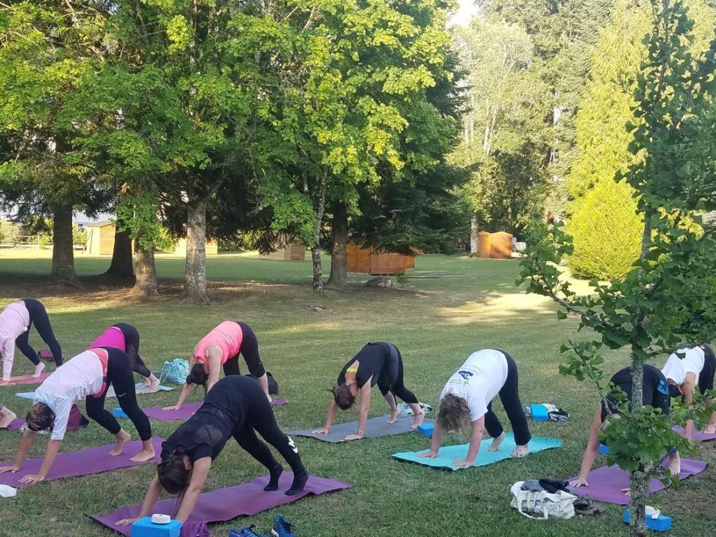 Cours de yoga collectifs en plein air