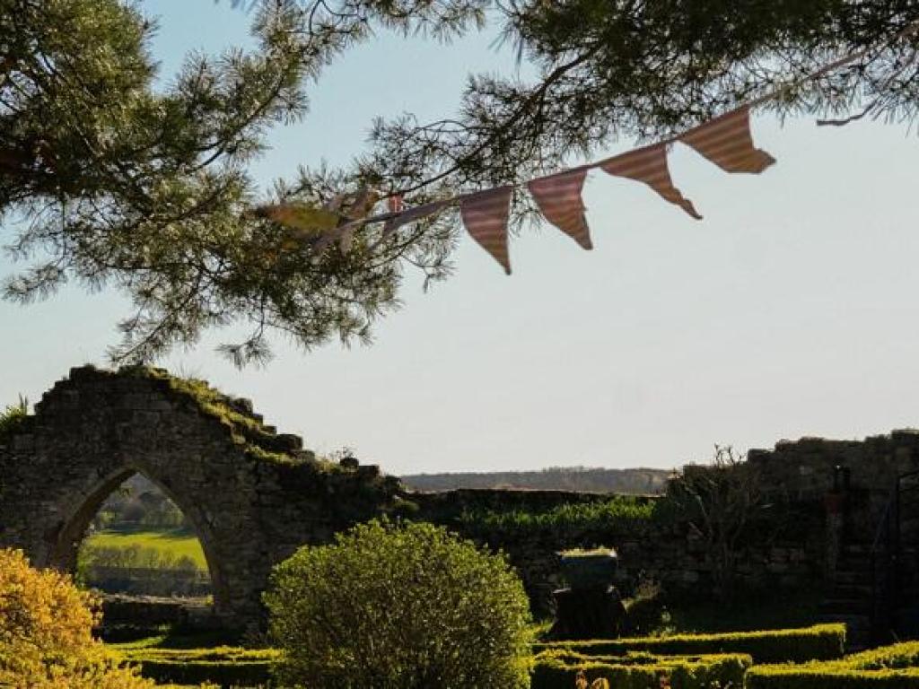 Lecture sous l'arbre au château