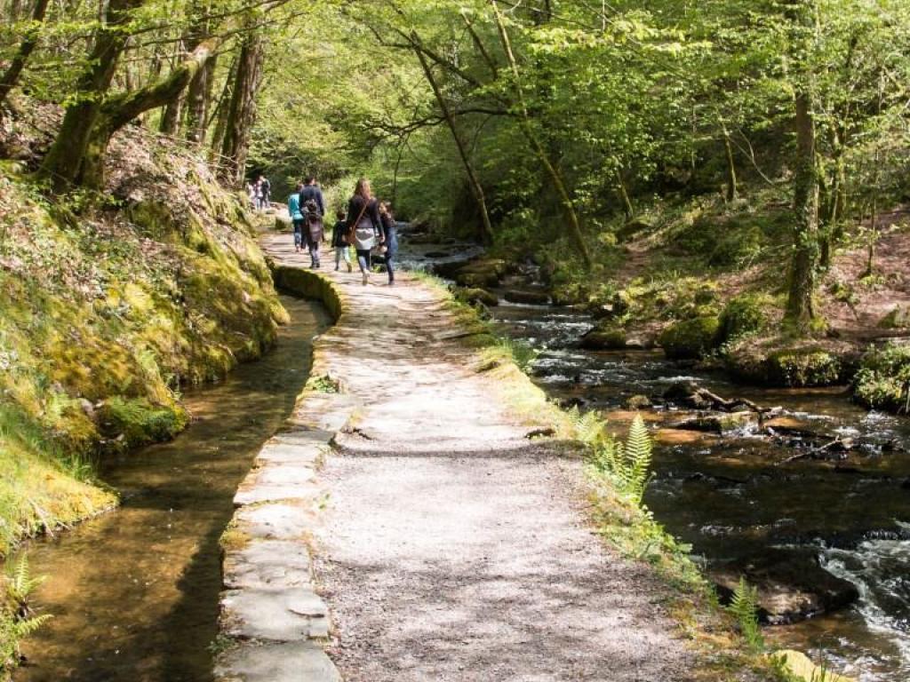 Visite guidée du Canal des Moines