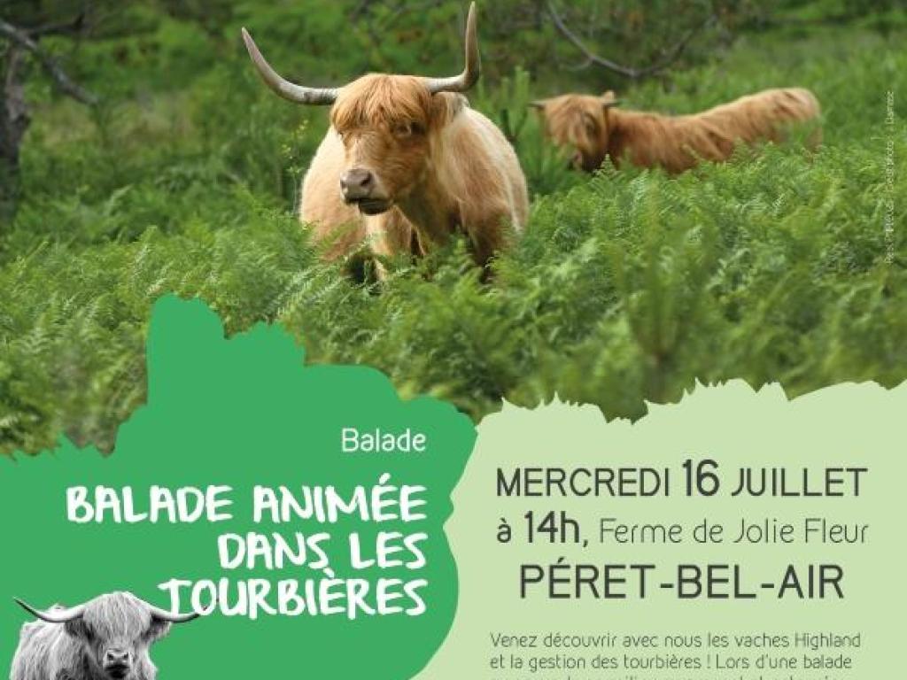 Balade animée aux tourbières