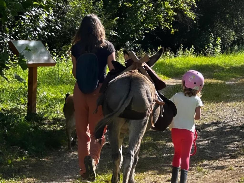 Découverte d'Uzerche avec les ânes voyageurs