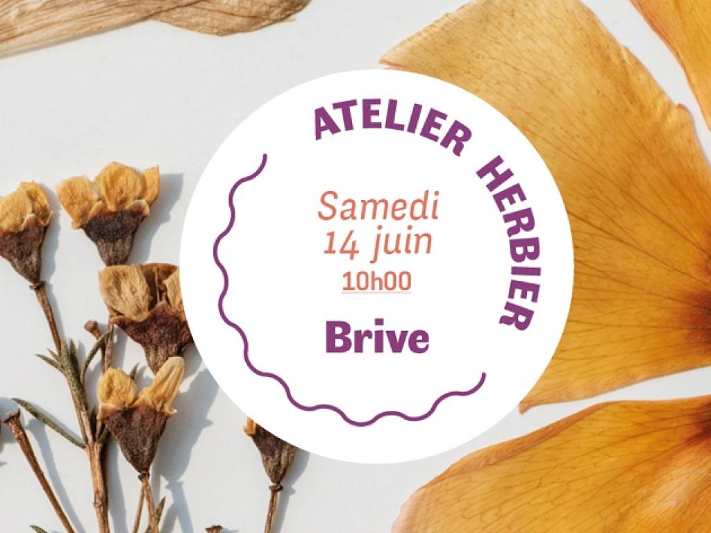 Atelier Création d’herbier de fleurs pressées encadré (Mlle Libellule)