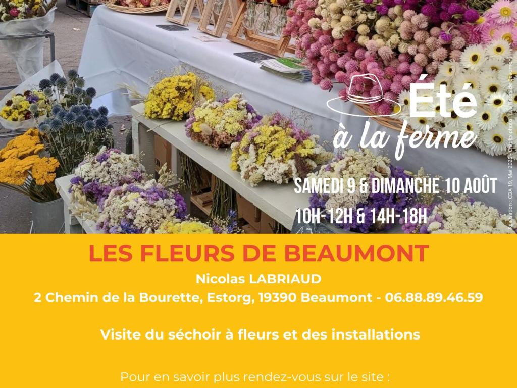 LES FLEURS DE BEAUMONT - ÉTÉ À LA FERME - BAF