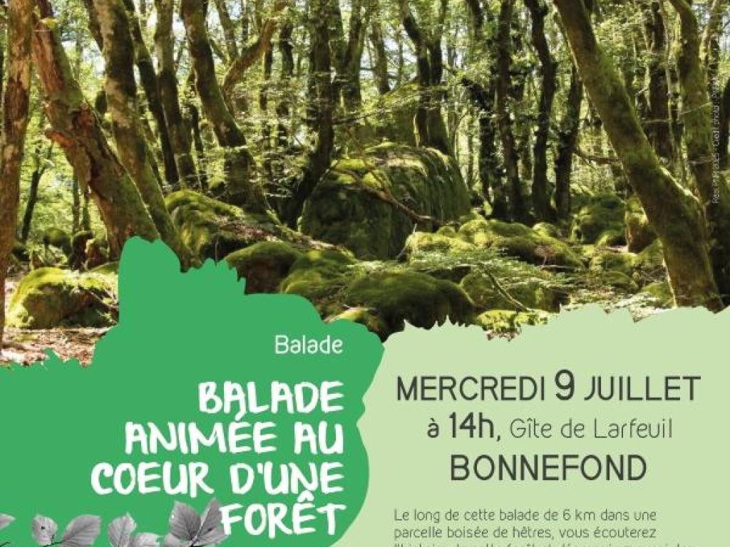 Chantier bénévole de restauration de milieux naturels