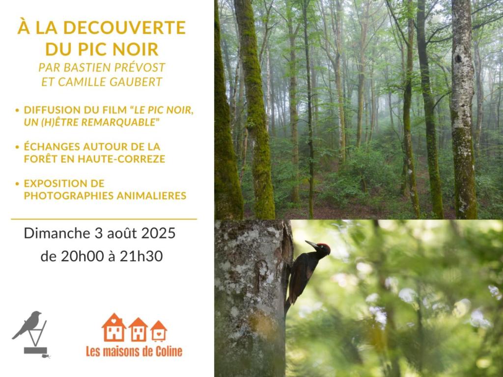 Soirée exceptionnelle ; projection en avant première du documentaire de Bastien Prévost sur le Pic Noir
