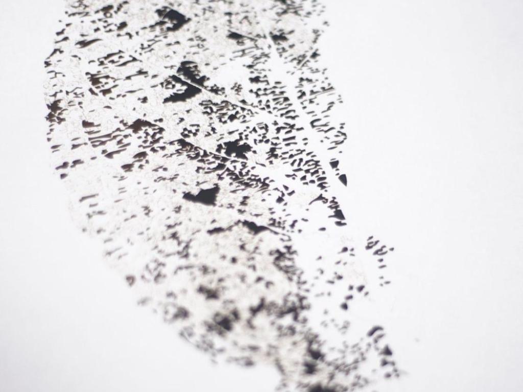 Court des Arts : Exposition : Julie Knaebel
