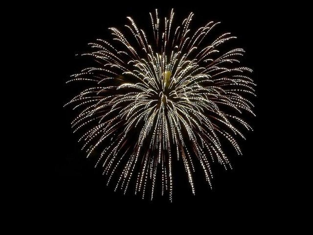 Feu d'artifice (Parc de la Guierle)