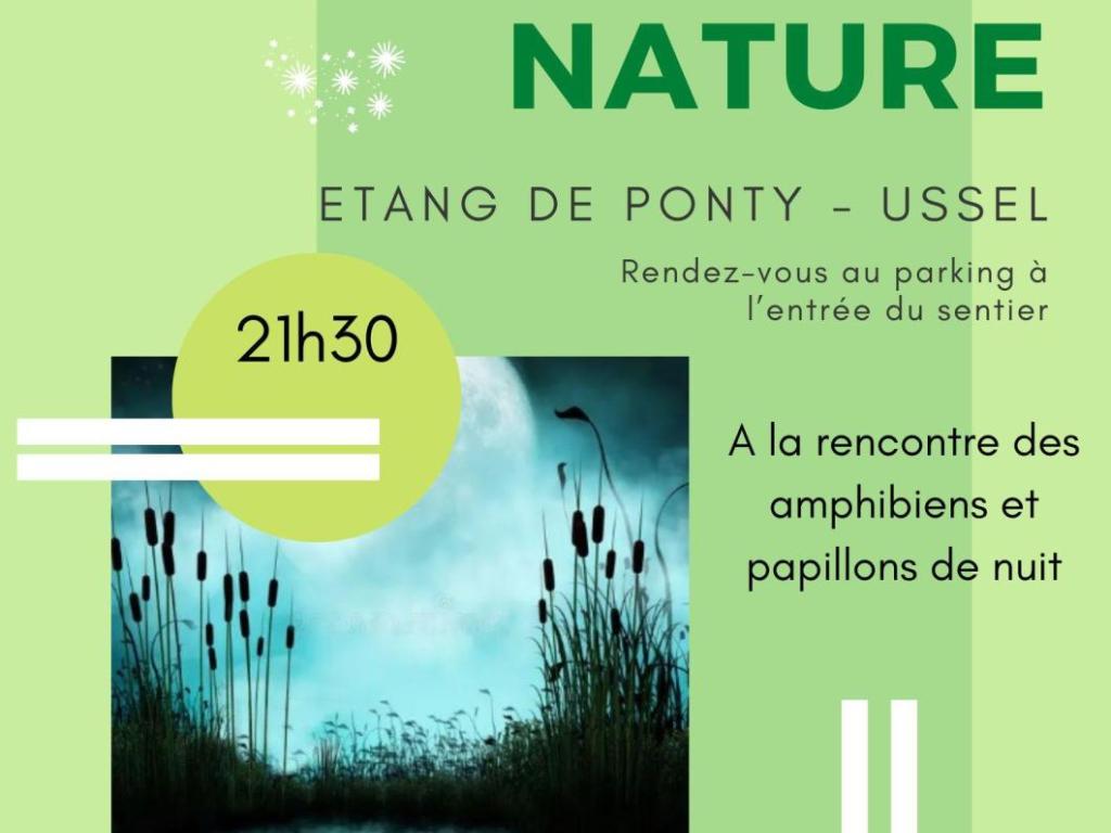 A la rencontre des amphibiens et papillons de nuit