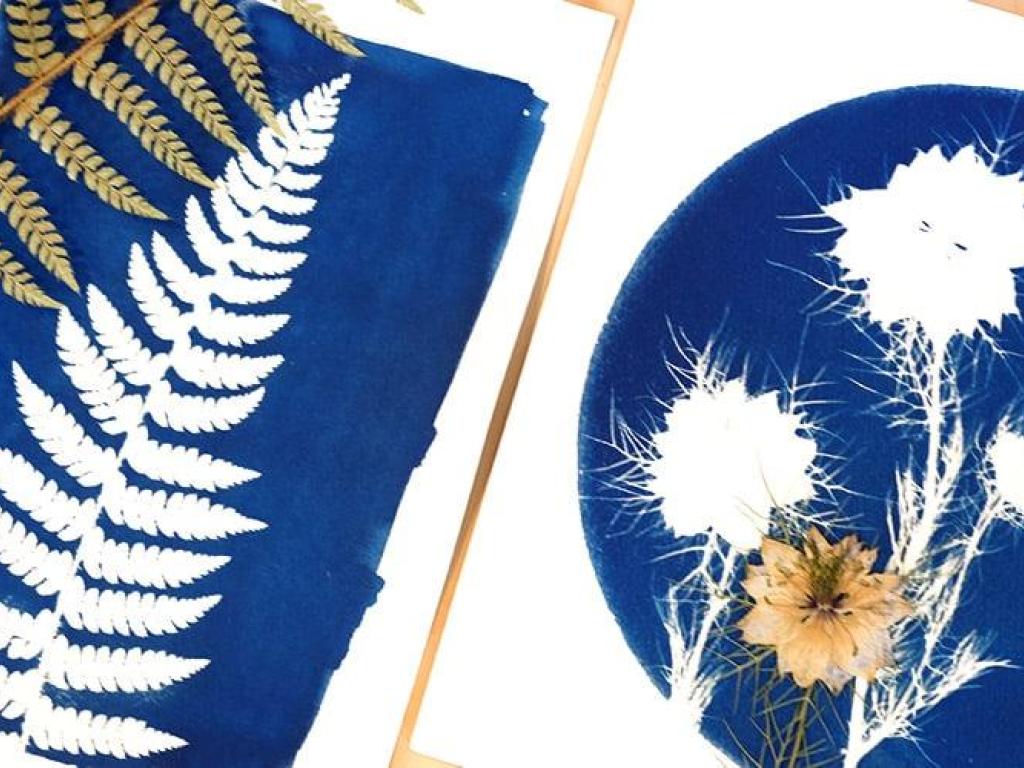 Les lundis de l'été : Atelier cyanotype