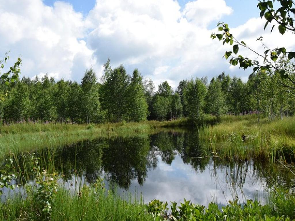 Ateliers-découverte : la petite faune aquatique du Lac de Feyt