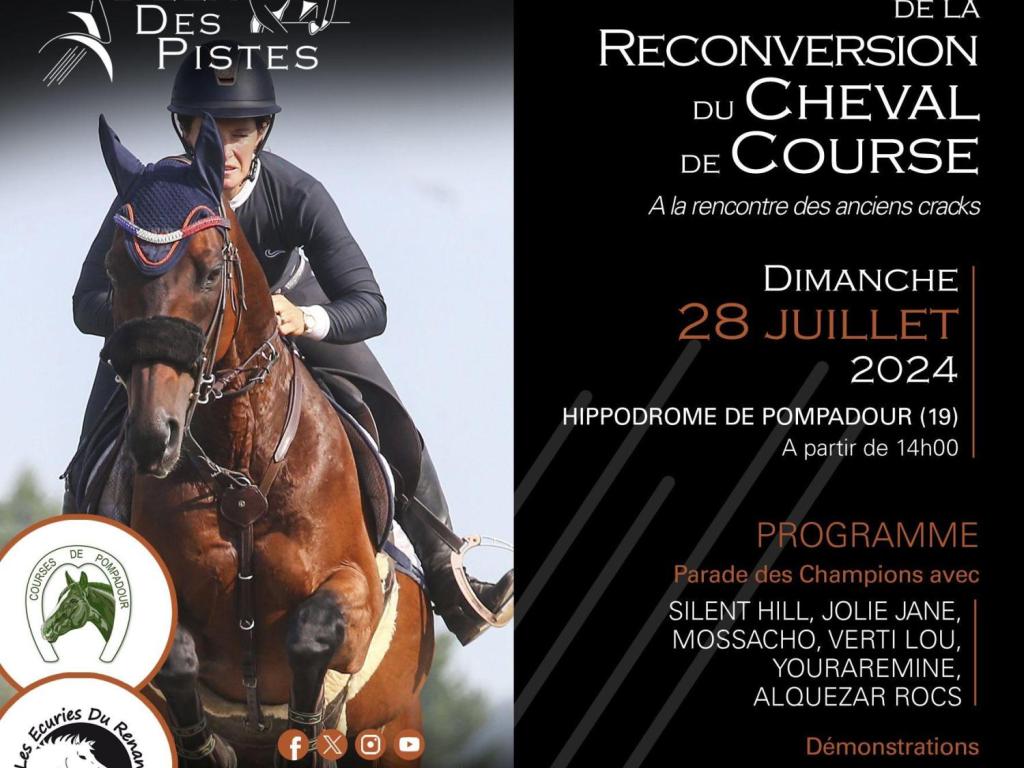 Courses hippiques