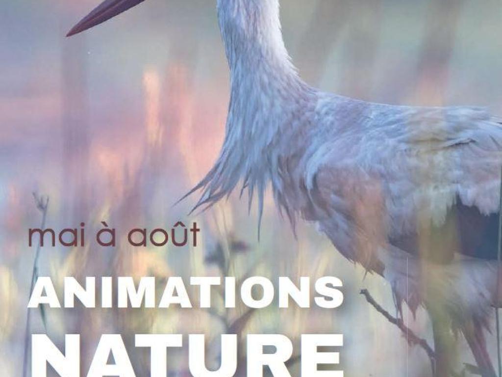 Balade découverte des plantes et des animaux du plateau