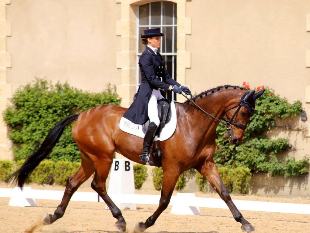 Concours de dressage Pro Elite