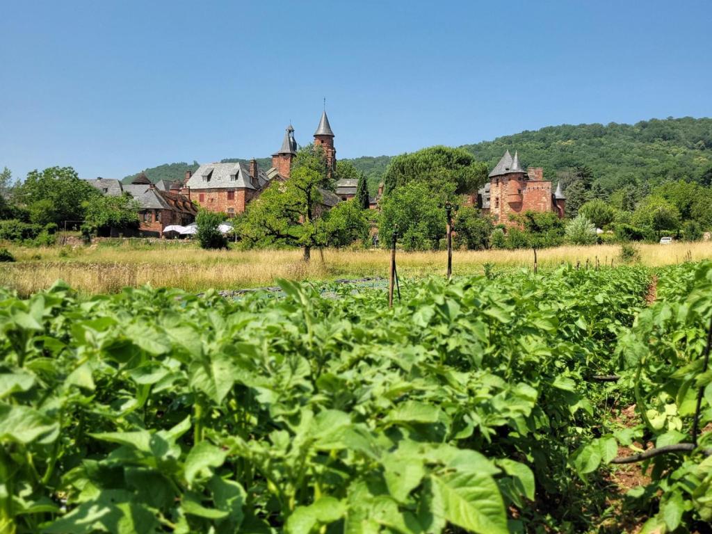 Visite du Potager au Maraîcher