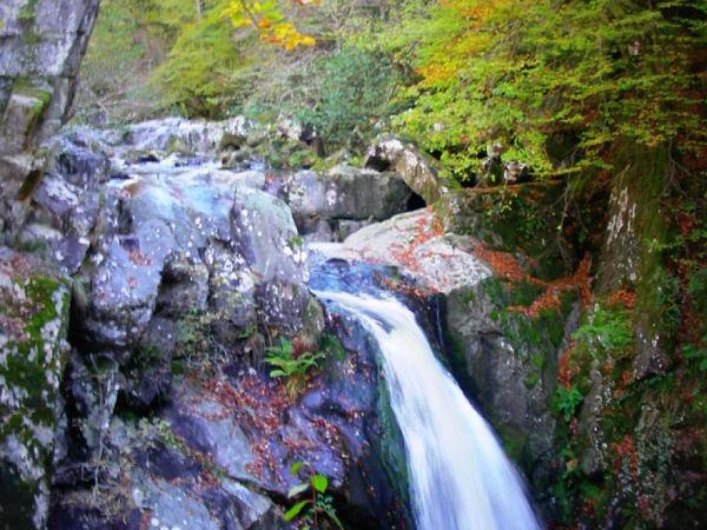 Sortie découverte : vallée de la Vézère, en amont du village de Treignac