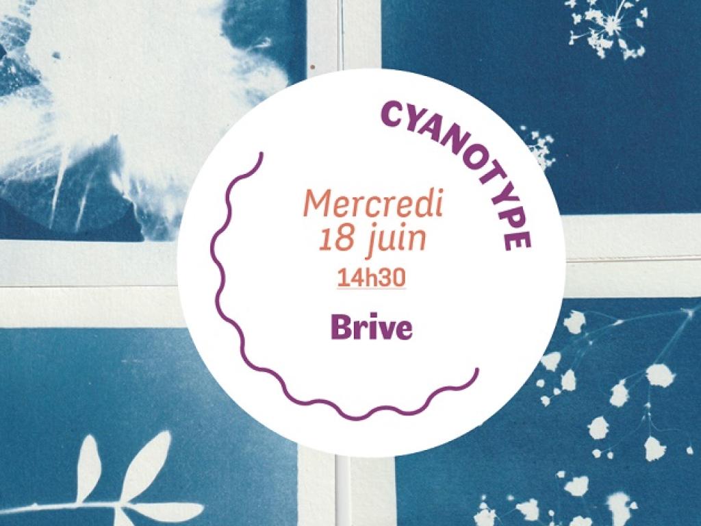 Atelier cyanotype (Mlle Libellule)