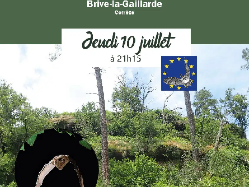 Sortie nocturne: A l'écoute de l'inaudible