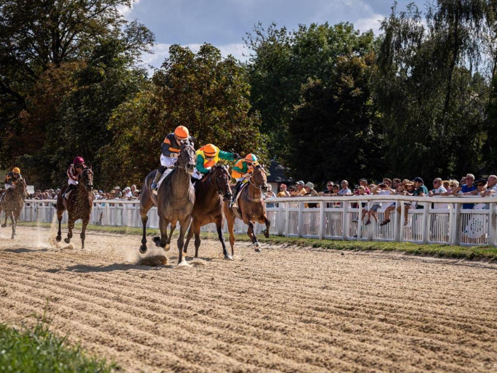 Courses hippiques
