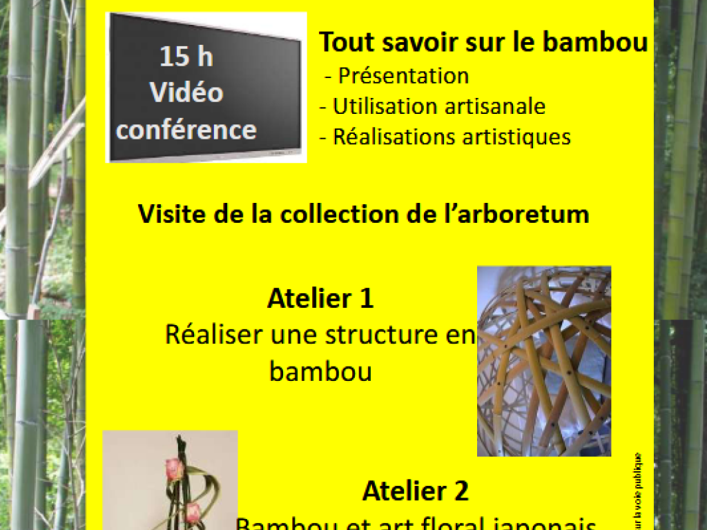 Journée Bambou